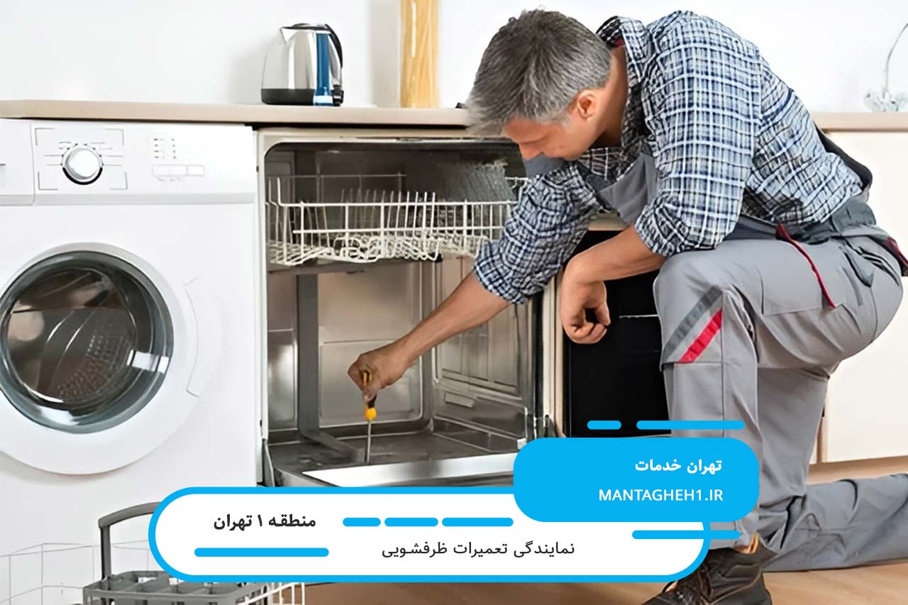 سرویس فوری ظرفشویی در محل با تعرفه مناسب در منطقه 1